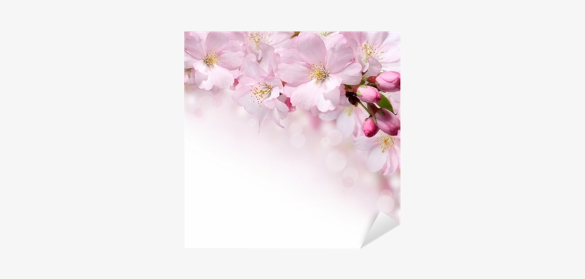 Spring Flowers Design Border Background Sticker • Pixers® - Flower, transparent png #2623122
