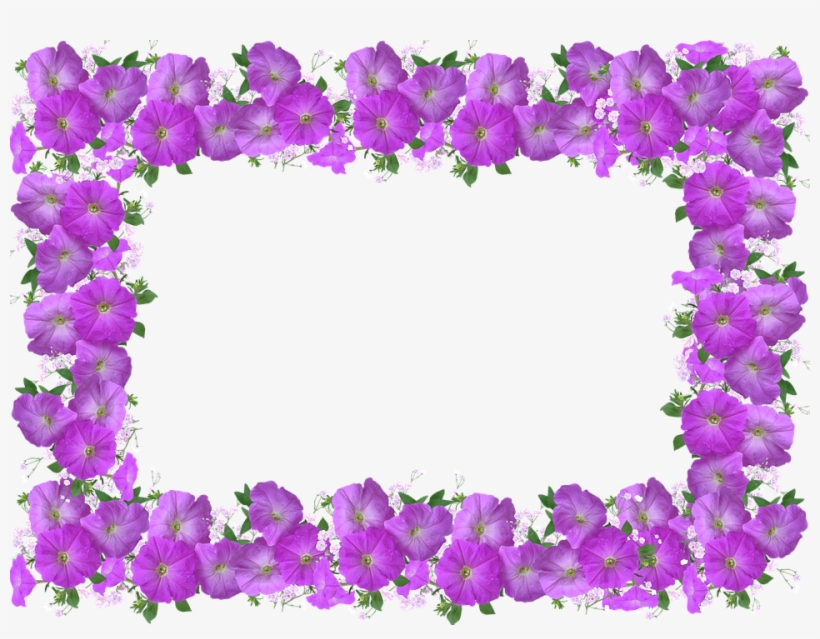 Frame, Border, Petunia, Floral Decoration - Nimepäev Anne, transparent png #2623759