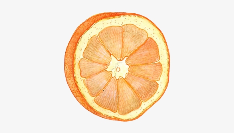 In The End, There Was Too Much To Fit Into The Car, - Tangelo, transparent png #2623795