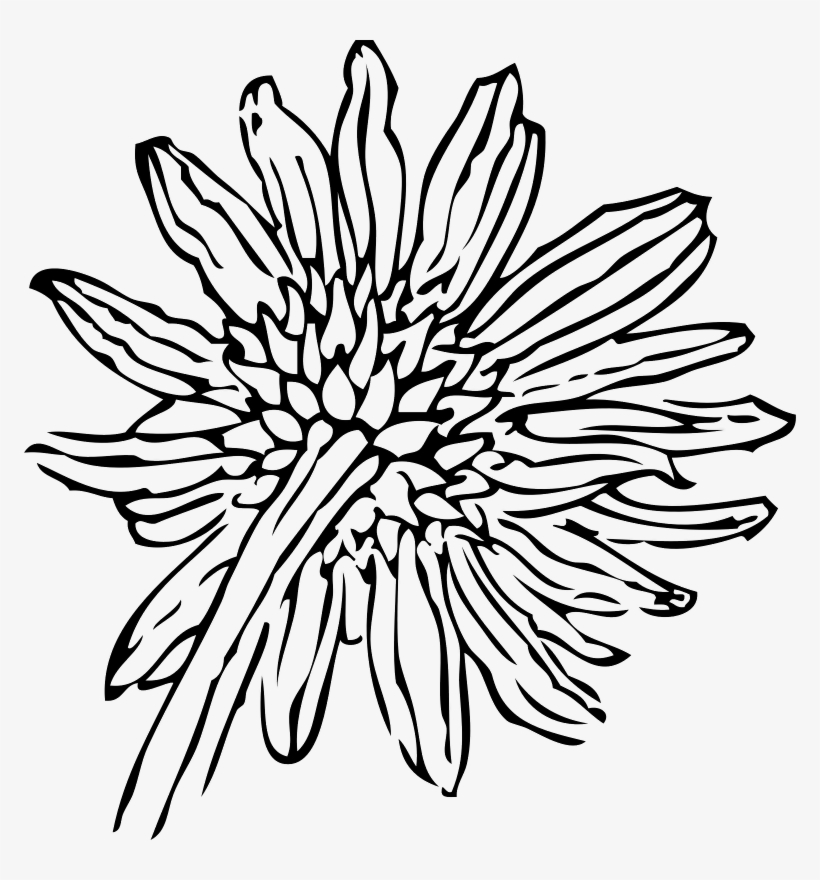 A Sunflower Come Back - Sunflower Clip Art, transparent png #2623976