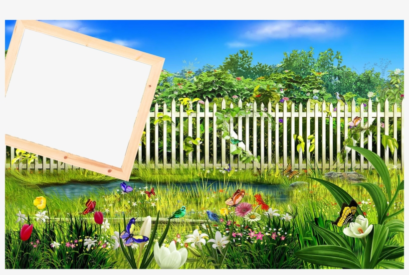 Frames - Best Photo Frame Hd, transparent png #2624490