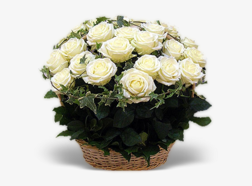 White Roses Basket - Цветы Комнатные Фото, transparent png #2624673