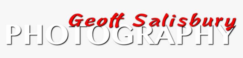 See All, transparent png #2625025