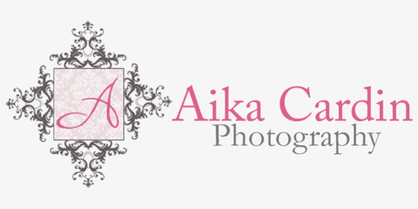 Premade Photography Logo - Human Smoke: The Beginnings Of World War Ii, The End, transparent png #2625055