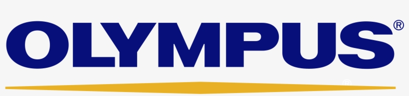 Footer Logo Footer Logo Footer Logo Footer Logo - Olympus Png, transparent png #2625181