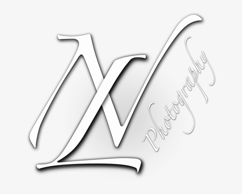 Wedding Photo Art - Emblem, transparent png #2625227