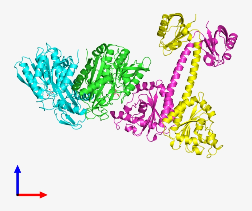 Pdb 4lry Coloured By Chain And Viewed From The Front, transparent png #2625275