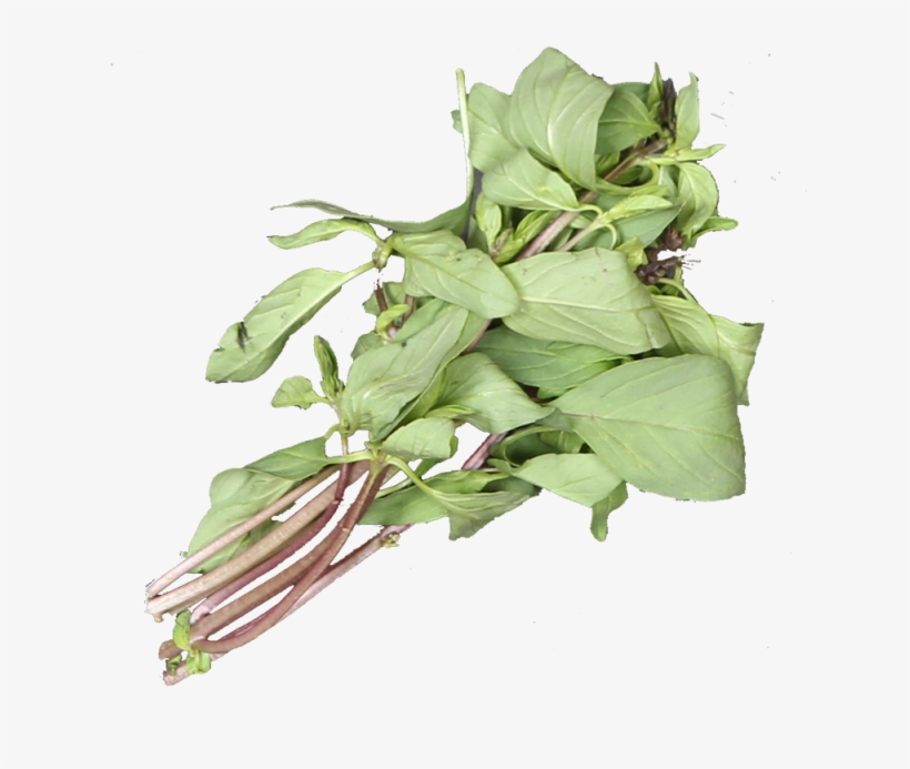 1 Bunch - Sorrel, transparent png #2625352