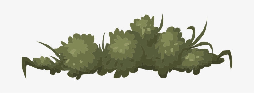 Bush Nature Green Leaves Outdoor Environme - Semak Semak Vector Png, transparent png #2625531