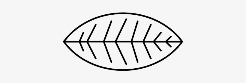 Leaf Of A Bush Vector - Objetos En Forma Cilindrica Para Colorear, transparent png #2625698