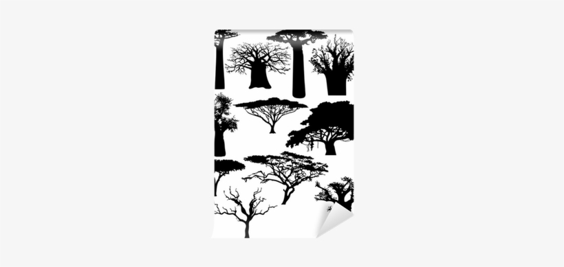 Various African Trees And Bushes - African Trees, transparent png #2625747
