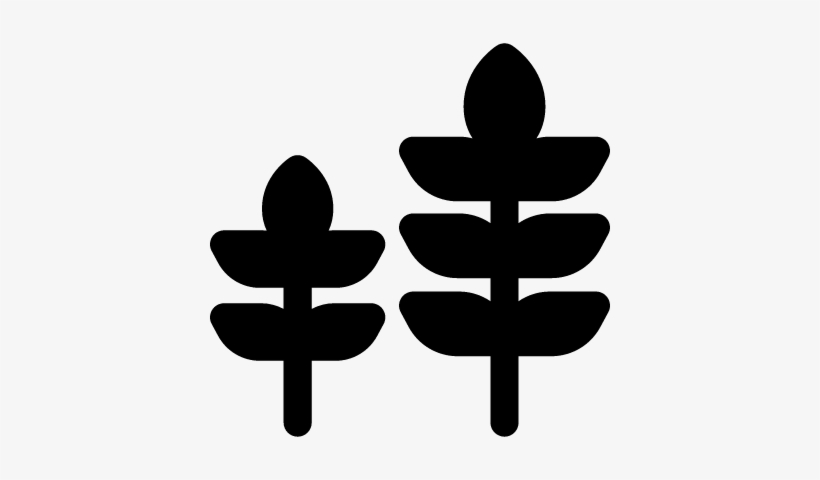 Plants Vector - Icon, transparent png #2625766