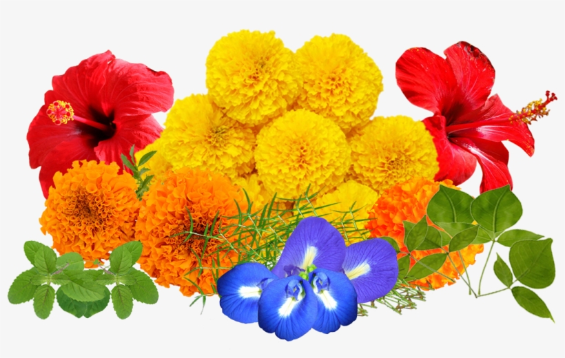 Flowers Design In Real, transparent png #2625810