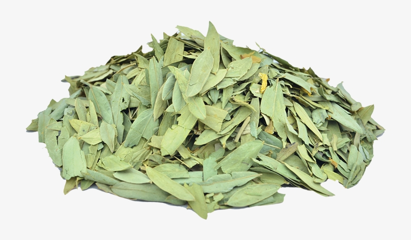 Dried Senna Leaves - Cassia Angustifolia Product, transparent png #2626095