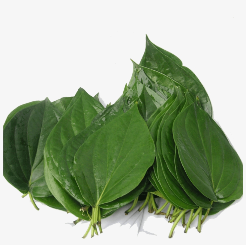 Related Products - Bitter Leaf, transparent png #2626113