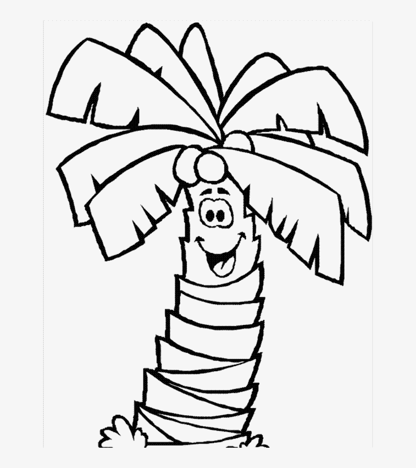 Drawing Coconut Tree 20 - Worksheet For Tall And Short, transparent png #2626220