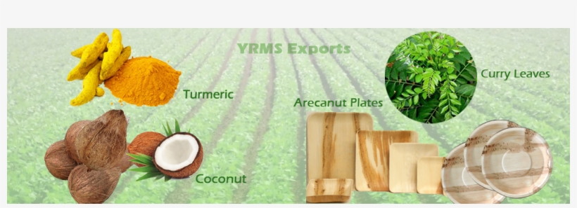 Our Products - Bentonite Clay With Turmeric & Cloves Powder. Indian, transparent png #2626296