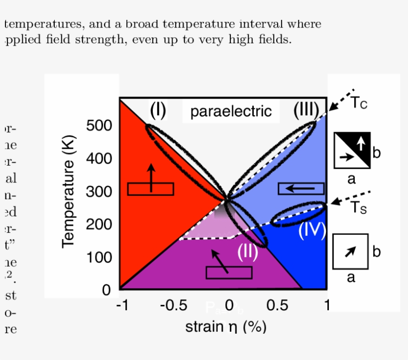 Colors Encode Different Polarization Directions (also - Diagram, transparent png #2626860