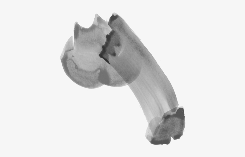 My Penis Poster - Macro Photography, transparent png #2627669