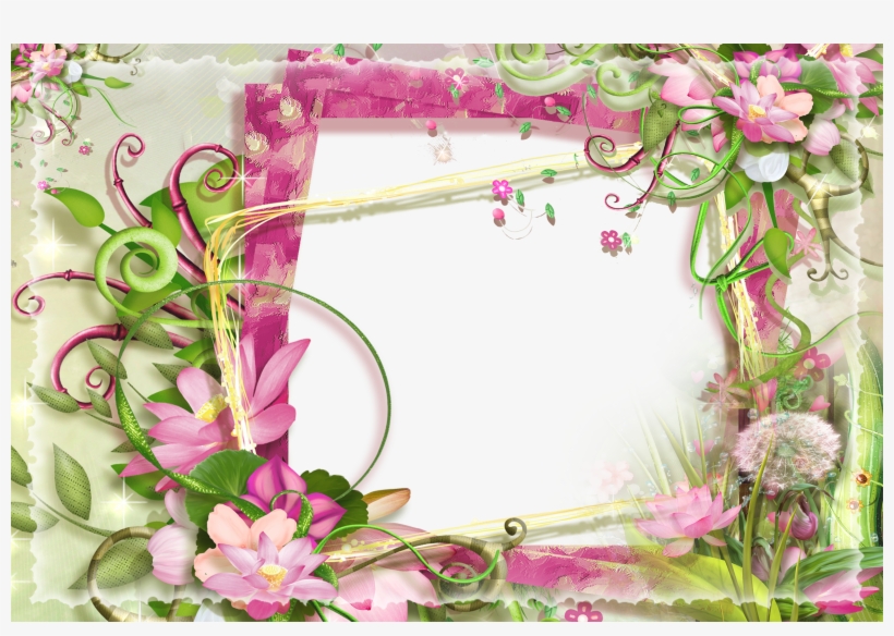 Beautiful Flowers Photos, Flower Photos, Beautiful - Nature Png Photo Frame, transparent png #2627920