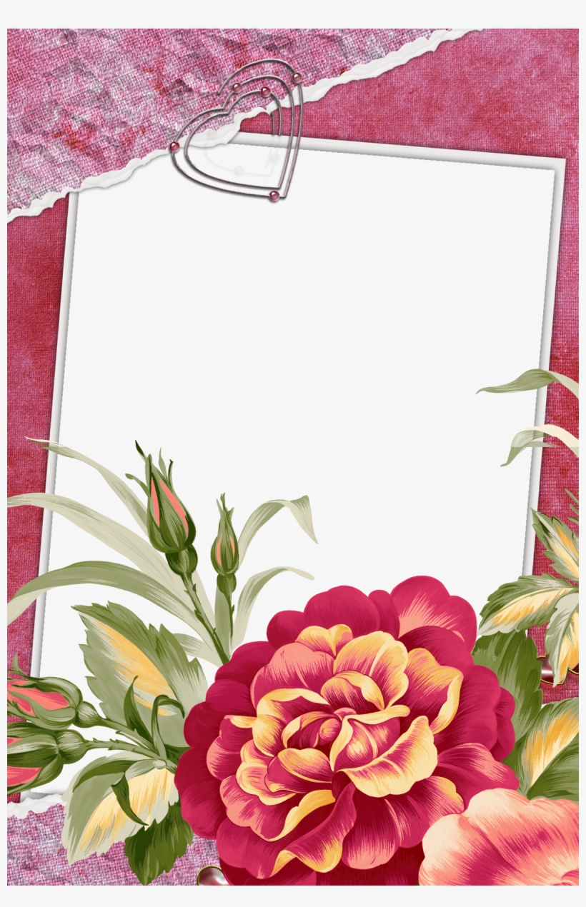 Beautiful Flowers Photo Frames, transparent png #2627949