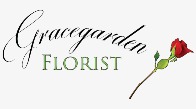 Store Logo Store Logo, transparent png #2627971