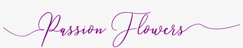 Katy, Tx Florist - Katy, transparent png #2628073