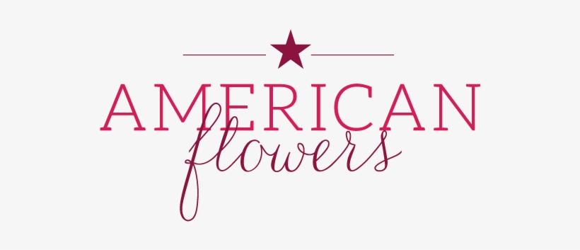 Los Angeles, Ca Florist - Condominio Mirador San Damian, transparent png #2628266