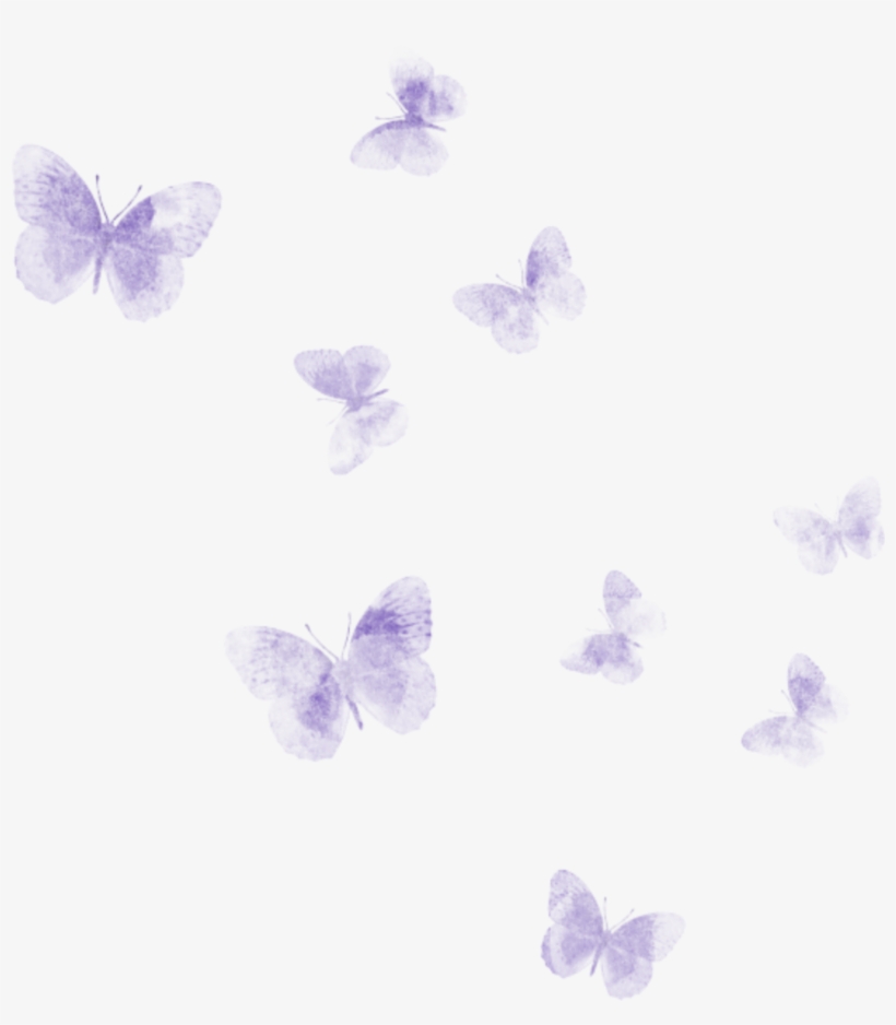 Popular And Trending Schmetterlinge Stickers On Picsart, transparent png #2629187