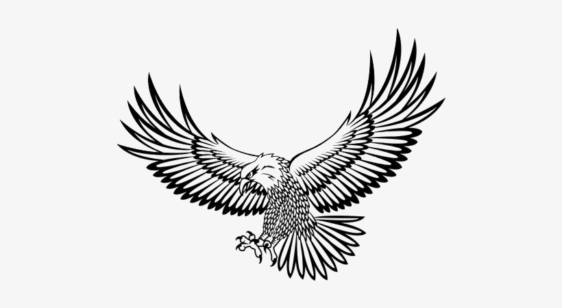 Prev Eagle Vector Free Transparent Png Download Pngkey