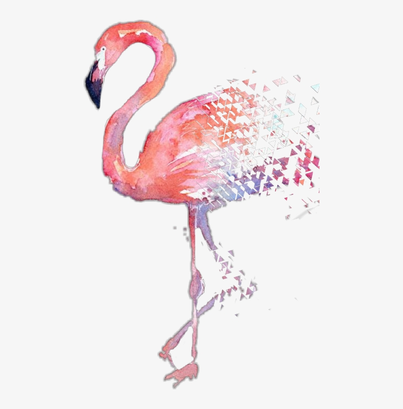 Flamingo Watercolor Painting Hd, transparent png #2629811