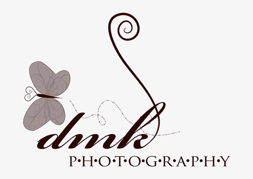 Dmk Photography - Lycaenid, transparent png #2631069