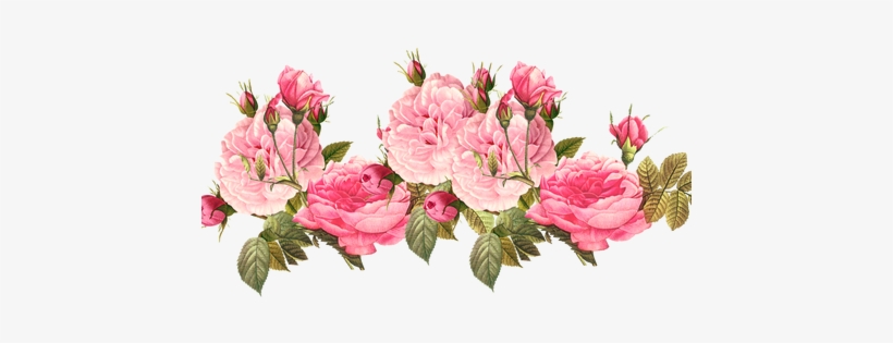 Collection Of Free Rose Vector Vintage - Transparent Background Flower Border, transparent png #2631306