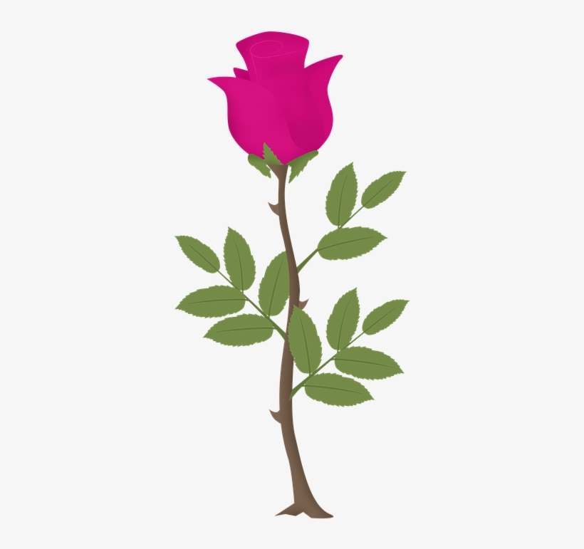 Rosa, Flower, Roses, Pink Vector, Pink Flowers - Zazzle Rose Tree Sweatshirt, transparent png #2631456