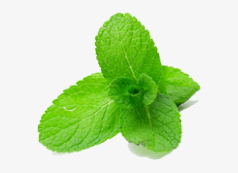 Mintleaves1-600x600 - Podina Png, transparent png #2631720
