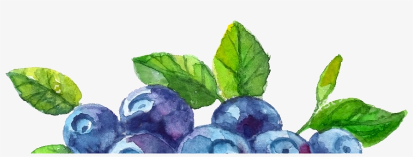 Recky Jogurt Milko Jogurt Milko Boruvky Milko Boruvky - Bilberry, transparent png #2631722