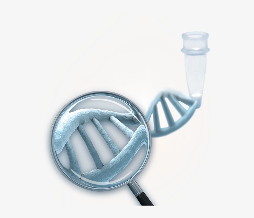 Stat Nat Dna Mix - Nucleic Acid, transparent png #2631827