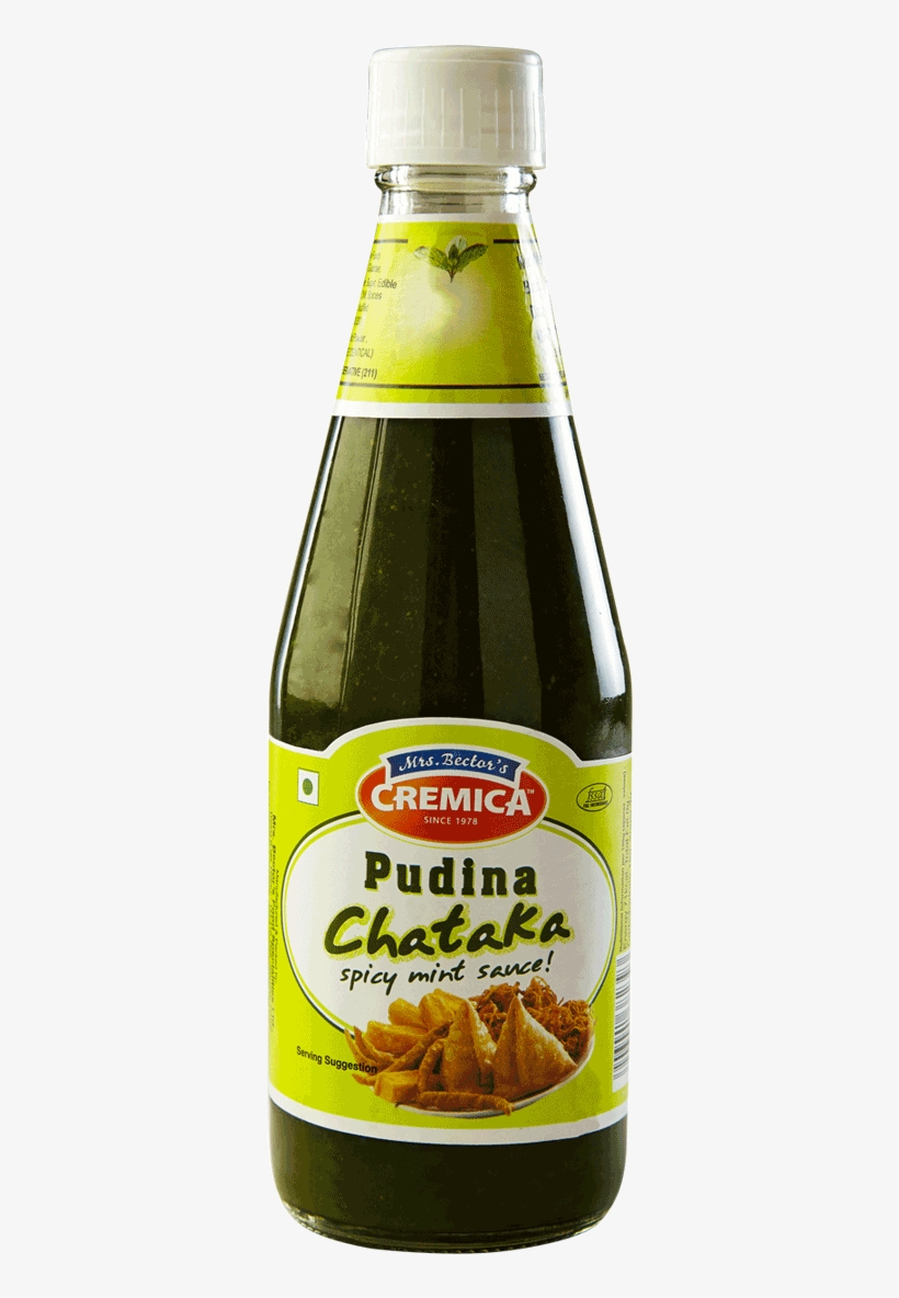 Pudina Chataka - Cremica Sauce Pudina Chataka, 460g, transparent png #2631927
