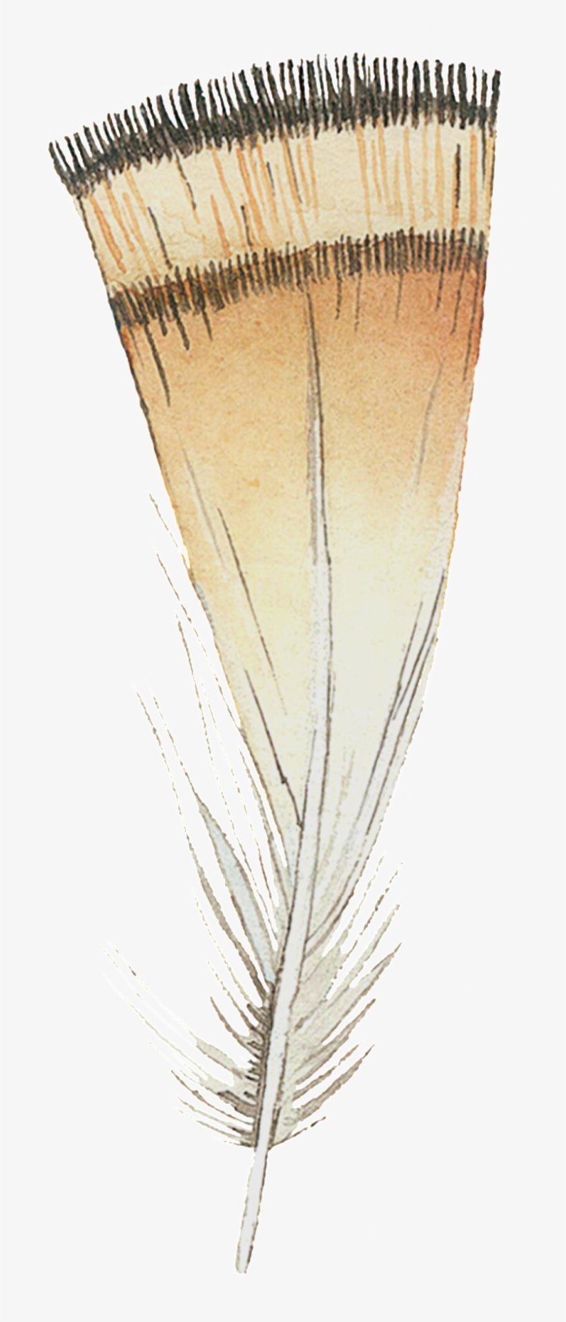 Drawing, transparent png #2631932