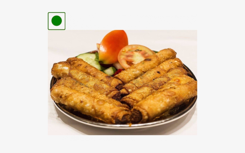 Eel, transparent png #2632339