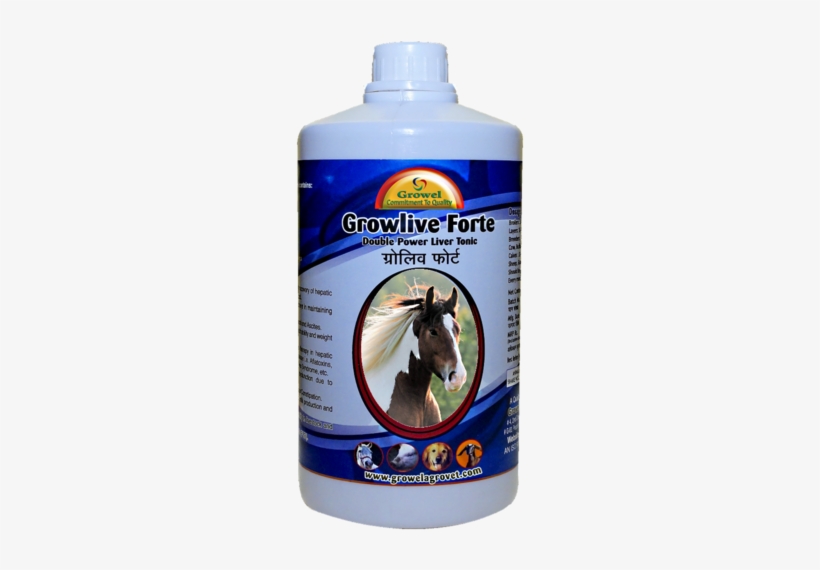 Digestive Supplements For Horse - Dayspring 12' X 12' Wall Calendar Horses, P1, Multicolor, transparent png #2632688