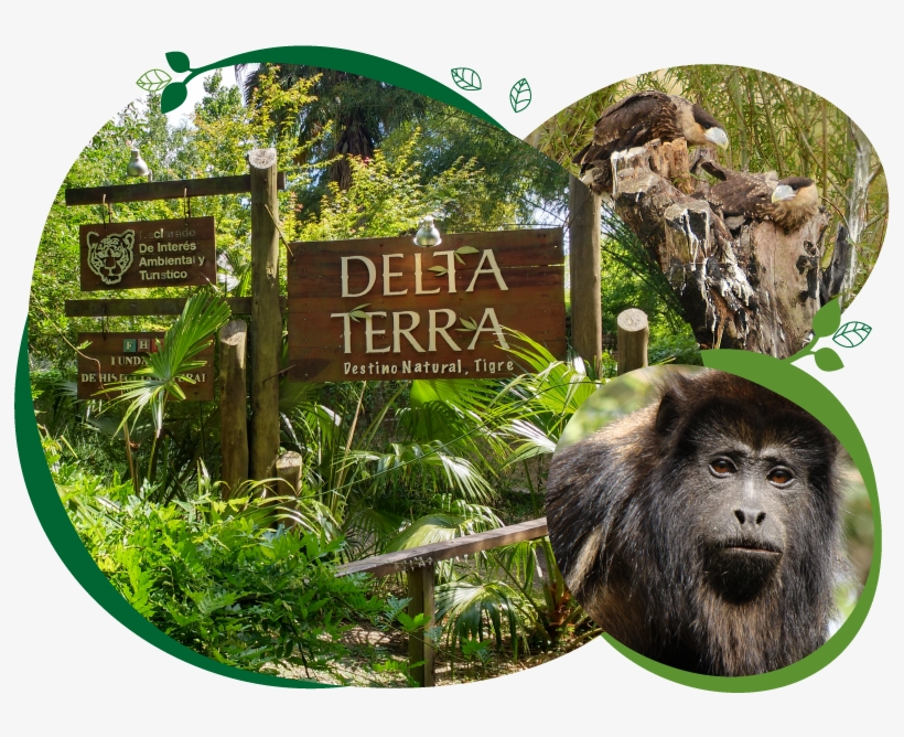 Reservas Naturales En Argentina, transparent png #2634041