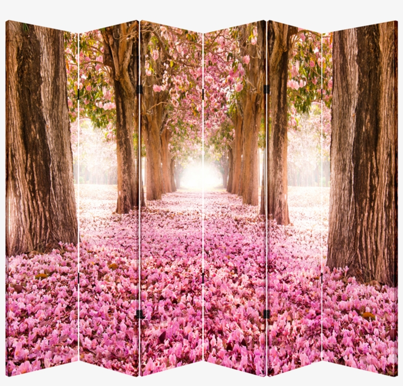 6 Panel Folding Screen Room Canvas Divider- Pink Pathway - Macbook Air 13 Inch Case Plastic Hard Shell Cover A1369, transparent png #2636721