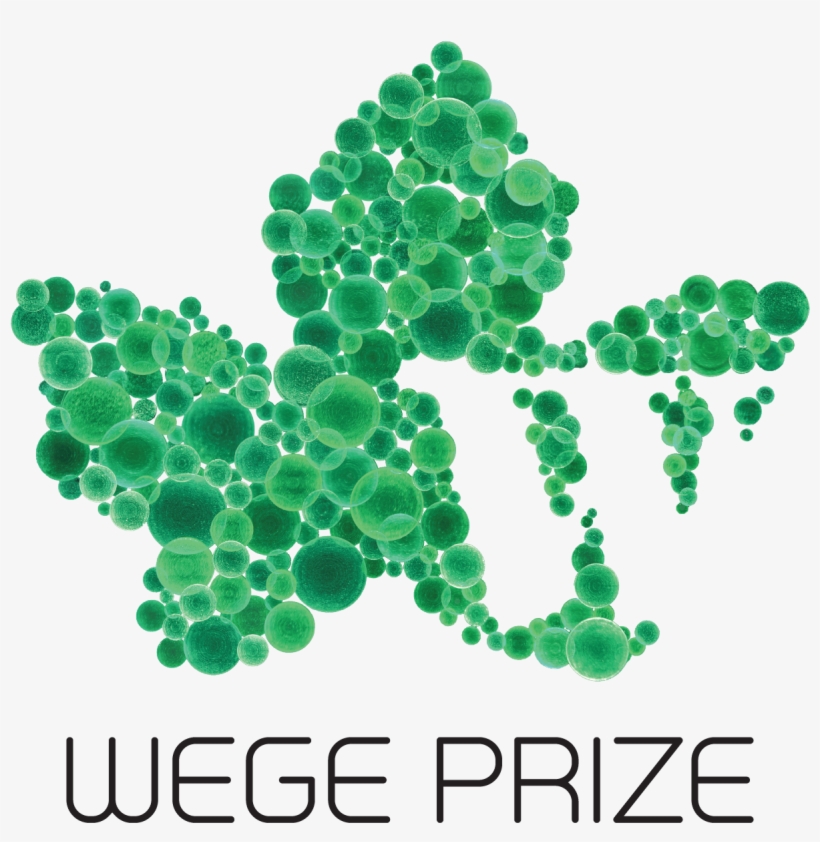 The Logo Must Not Be Resized Or Distorted - Illustration, transparent png #2637882