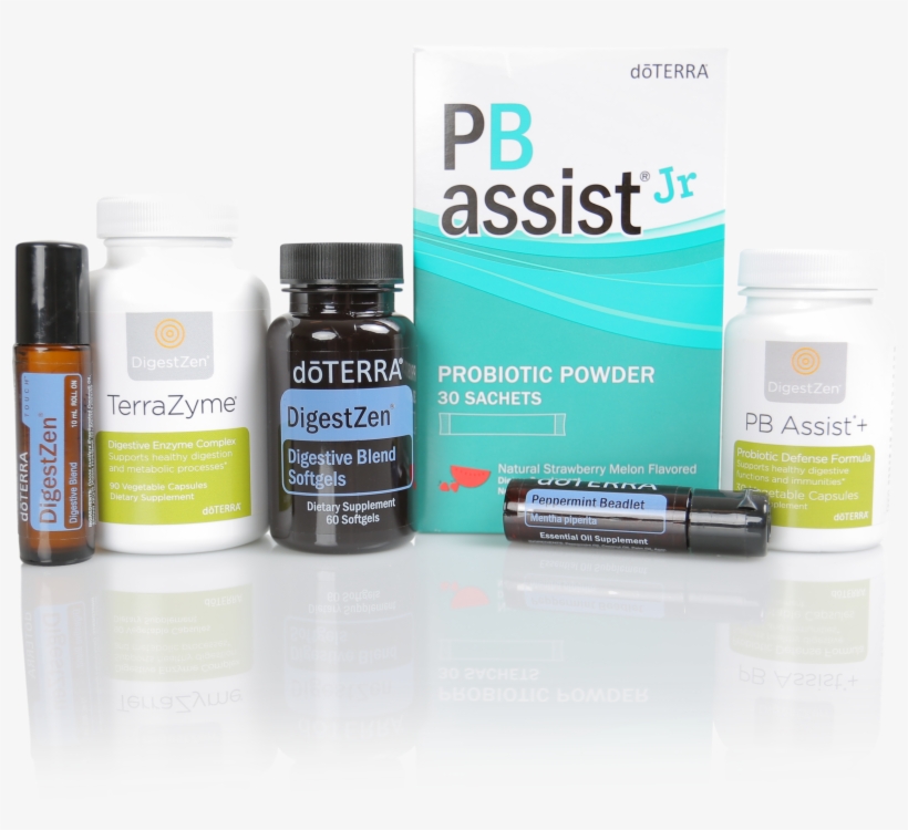 Hi-res Image - Doterra Pb Assist Junior Chewable Probiotic, transparent png #2638907