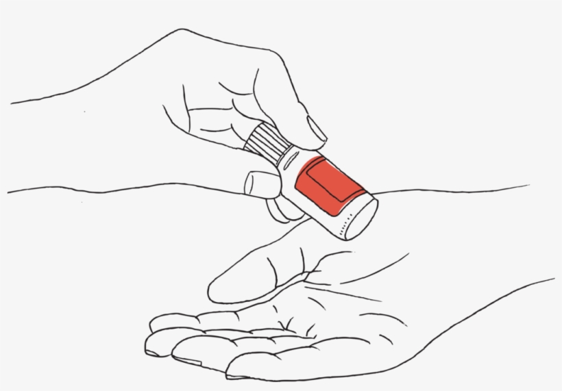 Doterra Bizcamp - Sketch, transparent png #2638928