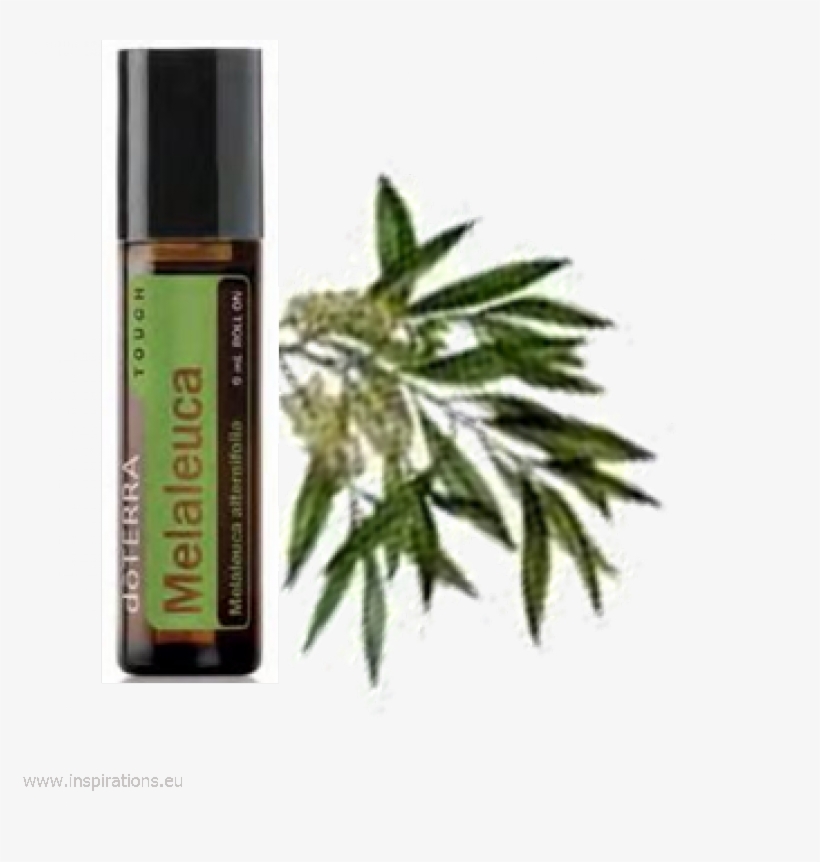 Tea Tree Touch Doterra, transparent png #2639052