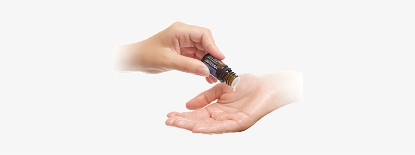 Using Essential Oils, transparent png #2639139