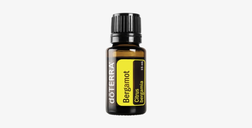 Doterra Bergamot Essential Oil 15ml - Doterra Bergamot Essential Oil - 15 Ml, transparent png #2639143