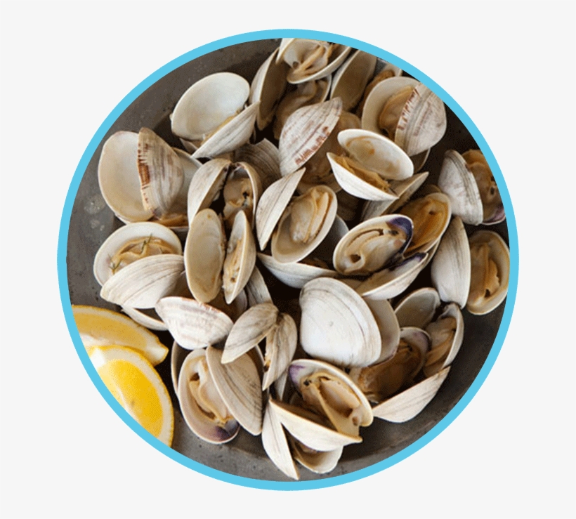 Clam Dish Winner - Wendake, Quebec, transparent png #2640000
